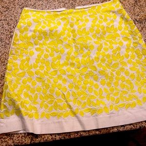 Dress up or down skirt